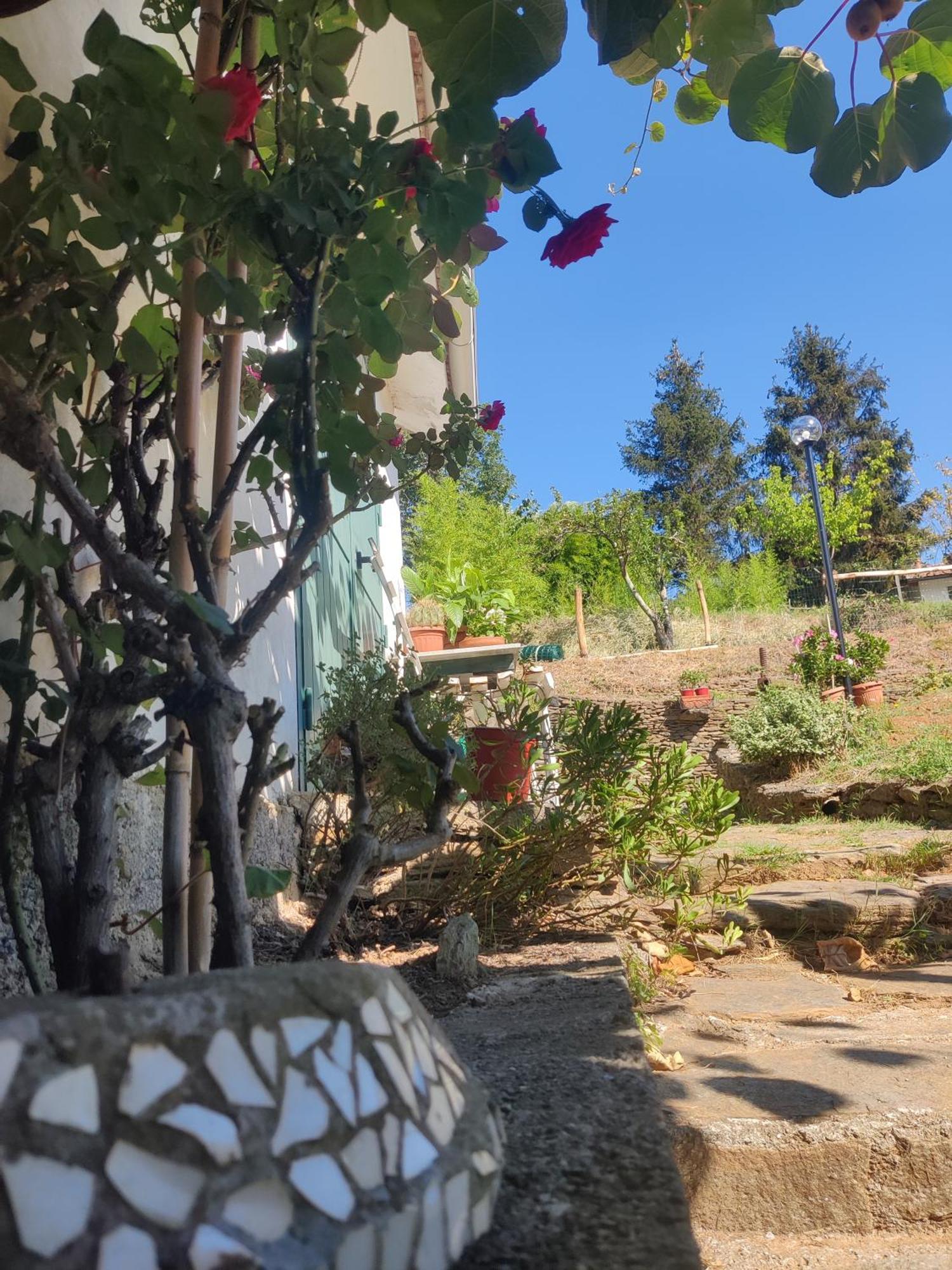 Casa Bartola Daire Stella Dış mekan fotoğraf